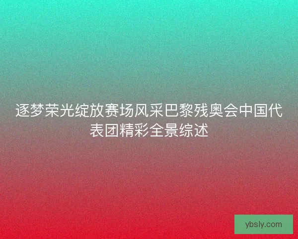 逐梦荣光绽放赛场风采巴黎残奥会中国代表团精彩全景综述