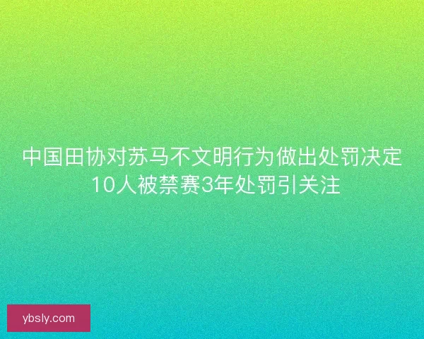 中国田协对苏马不文明行为做出处罚决定 10人被禁赛3年处罚引关注