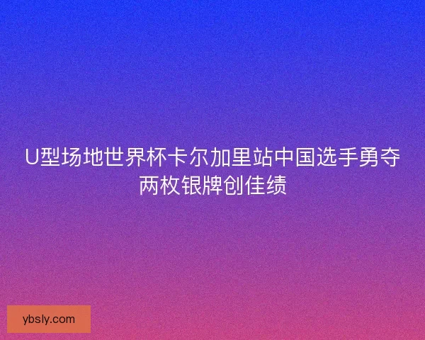 U型场地世界杯卡尔加里站中国选手勇夺两枚银牌创佳绩